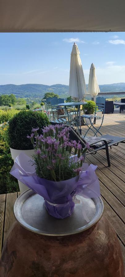 Domaine Le Lanis Chambre D'Hotes Piscine Spa Privatise Sur Reservation Saint-Girons  Exteriér fotografie